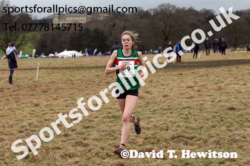 Junior womens 2018 Northern Cross Country Champs., Harewood House, Leeds. Photo: David T. Hewitson/Sports for All Pics